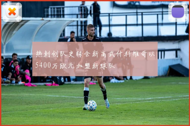 热刺创队史转会新高武什科维奇以5400万欧元加盟新球队