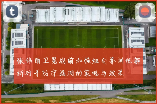 张伟丽卫冕战前加强组合拳训练解析对手防守漏洞的策略与效果